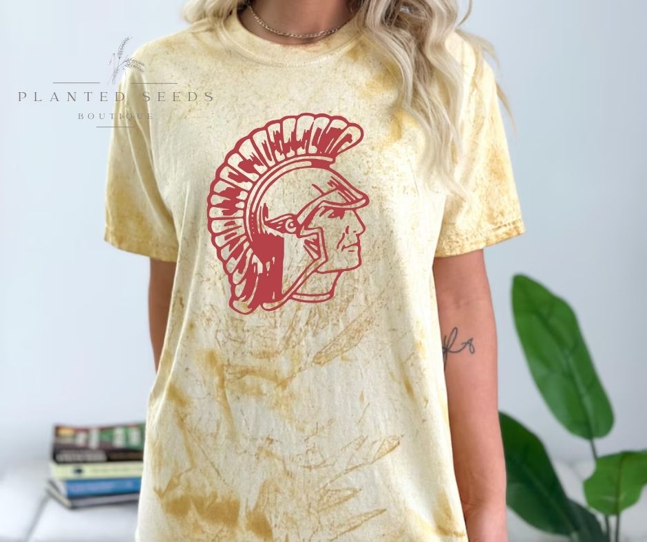 Titans Vintage Color Tee - Seeds & Sawdust
